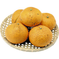 甘夏みかん2kg