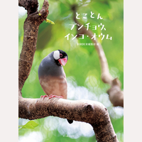 とことんブンチョウ、インコ・オウム