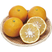 サマーフレッシュ1kg