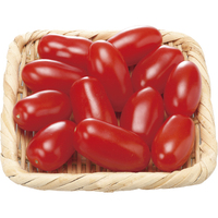 【お試し】ミニトマト（アンジェレ）100g