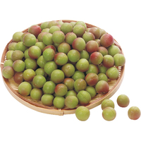 小梅（カリカリ漬用）1kg