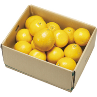 美生柑4kg