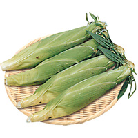 とうもろこし4本