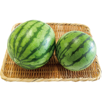 もったいない小玉すいか2個（WEB）