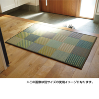 玄関マットカラック裏張り付　グリーン　70×120