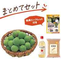 梅ビネガーシロップづくりセット