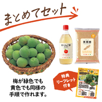梅ビネガーシロップづくりセット