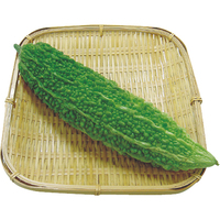 ゴーヤー1本