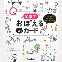 小学全漢字おぼえるカード