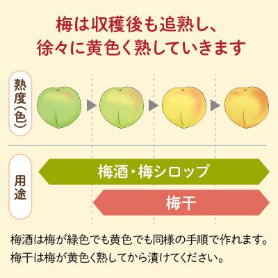 熟度の目安