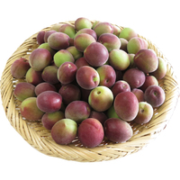 梅（ミスなでしこ）1kg（WEB）