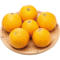 バレンシアオレンジ850g