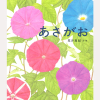 あさがお