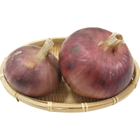 赤玉ねぎ500g