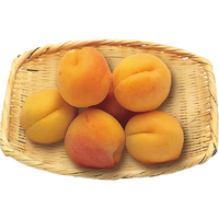 あんず（加工用）450g