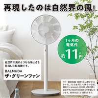 宅配＿ザ・グリーンファン　ホワイト×グレー　EGF1800