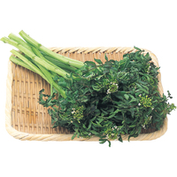 花クレソン100g