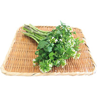 【お試し】花クレソン100g