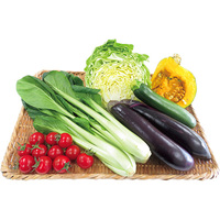 あっぱれ・はればれ野菜6点セット