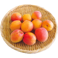 あんず（生食用）450g