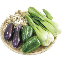 炒め物用野菜セット