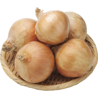 サラダ玉ねぎ700g