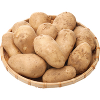 馬鈴薯（メークイン）1kg