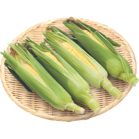 とうもろこし4本