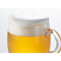 プレミアム・モルツ500ml