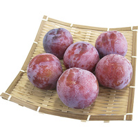 プラム（ソルダム・菅野中生）450g