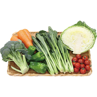 あっぱれ・はればれ野菜6点セット