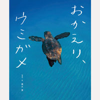 おかえり、ウミガメ