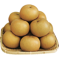 梨（幸水）4．5kg
