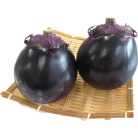 賀茂なす2個（WEB）