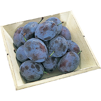 プルーン380g（WEB）