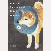 それでも「さよなら」が訪れる夜もある
