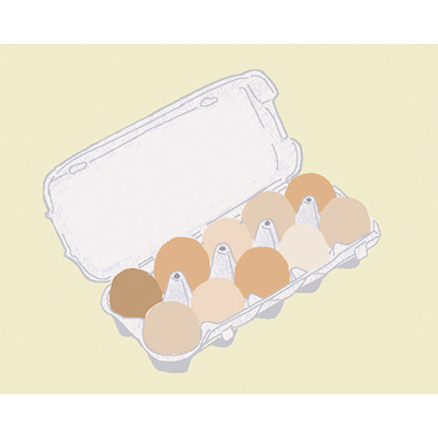 鶏卵（10個パック） ｜生協の食材宅配 生活クラブのインターネット注文