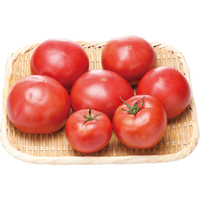 トマト1．5kg