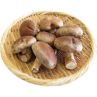 【お試し】生椎茸（菌床）130g