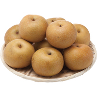 金沢梨（幸水）4．5kg（WEB）