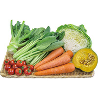あっぱれ・はればれ野菜6点セット