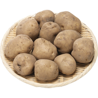 【お試し】馬鈴薯1．5kg
