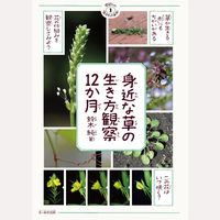 季節の生きもの事典1　身近な草の生き方観察12か月