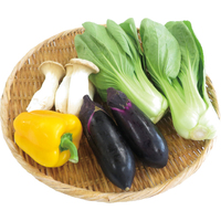 炒め物用野菜セット