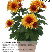【宅配】〇〇さん家の自慢の逸品コース頒布企画