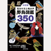 決定版　見分け方と鳴き声　野鳥図鑑350
