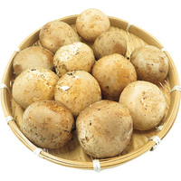 大きなブラウンマッシュルーム300g（WEB）
