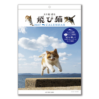 飛び猫