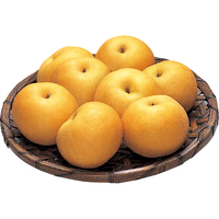 金沢梨（あきづき）4．5kg（WEB）