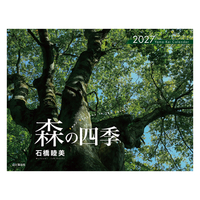 森の四季